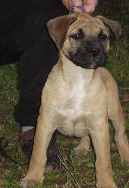 Publication : Miss and Manjol Auteur : yann