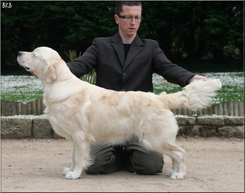 Publication : Bihan ki breizh