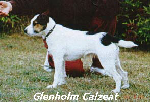 glenholm Calzeat