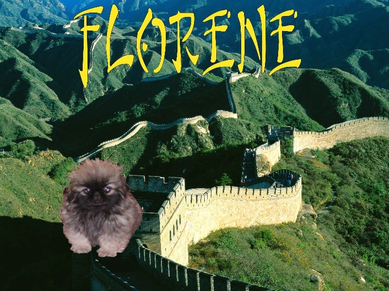 Publication : De La Vallée Du Lotus D'or Auteur : ANDRE Valérie