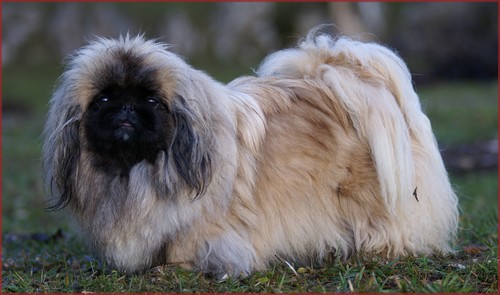 Publication : de l'empire des trois lacs 