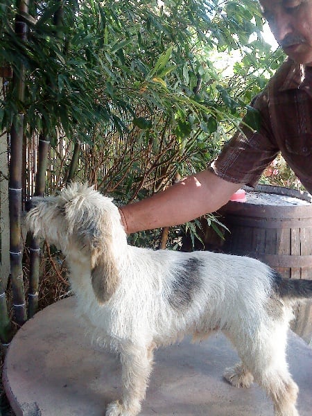 Publication : de la font francaise 