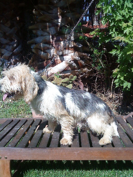 Publication : de la font francaise 