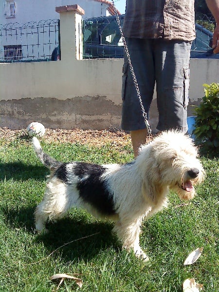 Publication : de la font francaise 