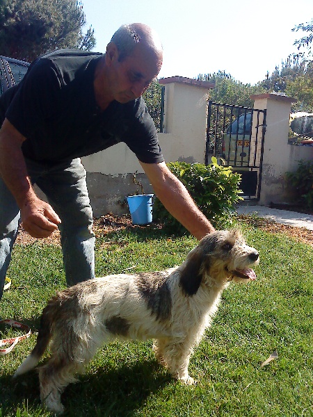 Publication : de la font francaise 