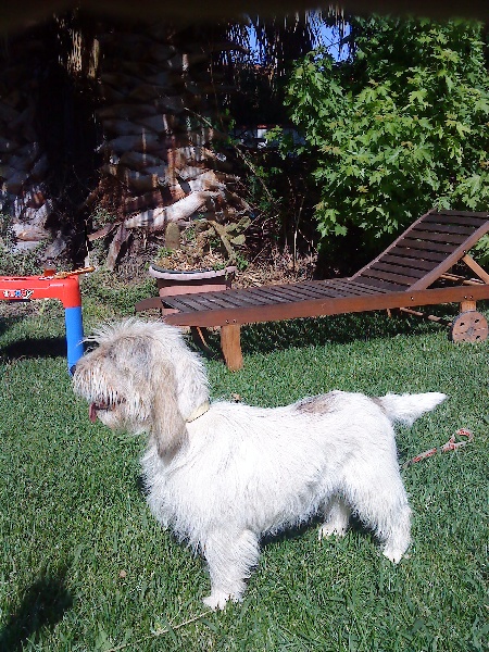 Publication : de la font francaise 