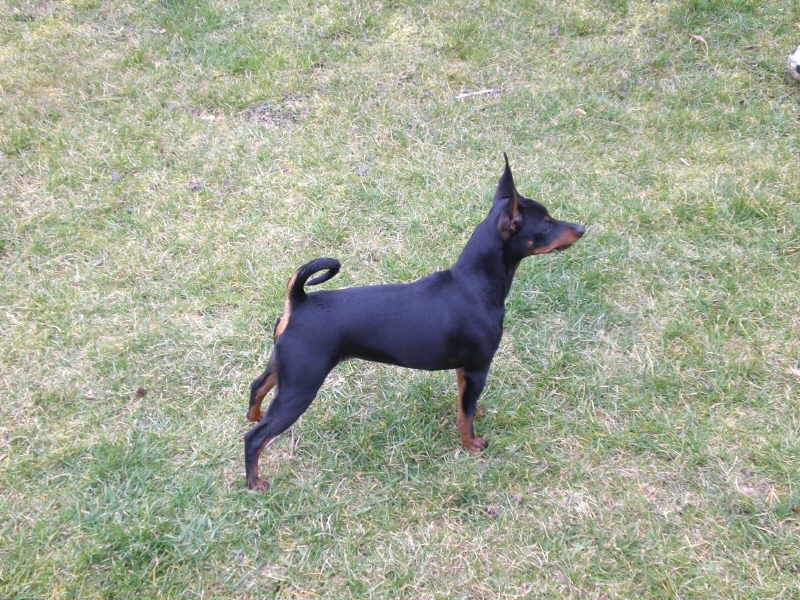  Auteur : christine ZOUTE