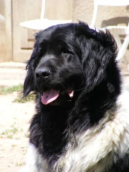 Publication : (Sans Affixe)