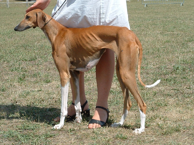 Publication : Kel tarbanassen 