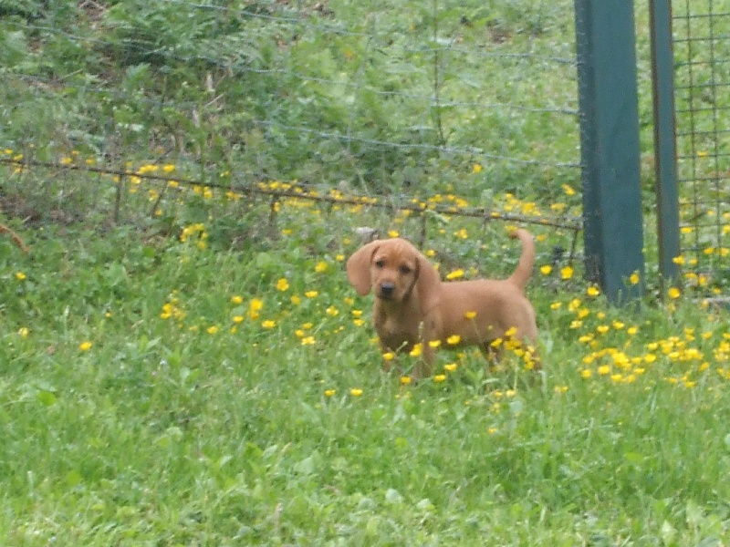 Publication : du sentier des bigues Auteur : Odile CROPET