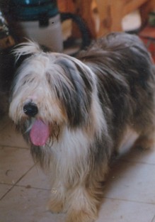 Publication : au Royaume D'Endjy Auteur : LLMDM