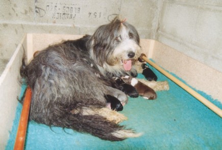 Publication : au Royaume D'Endjy