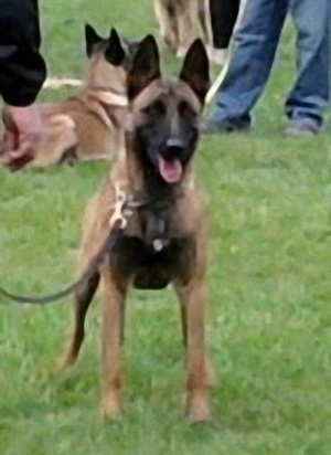 Publication : vom Haus Der Drachen 