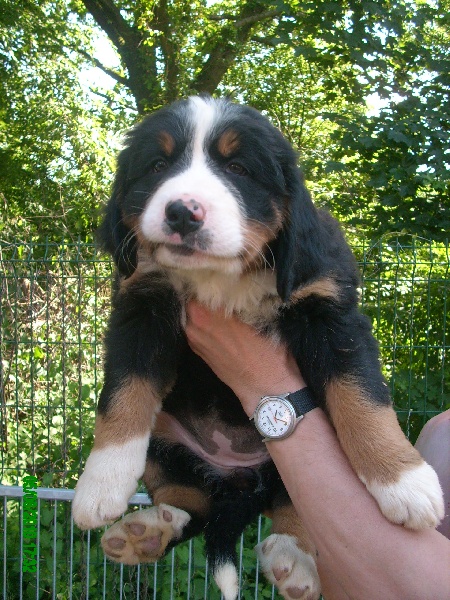 Publication : Du Jardin D'Unak