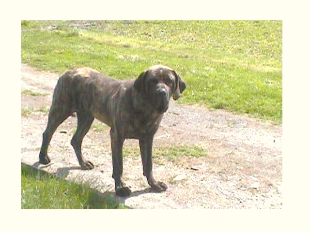 Publication : Des hauts de chevannes 