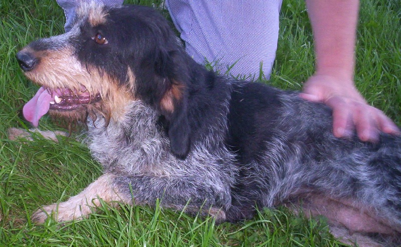 Publication : Plaisir D'hiver 