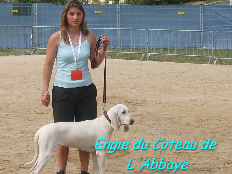 Publication : du sentier des bigues Auteur : Odile