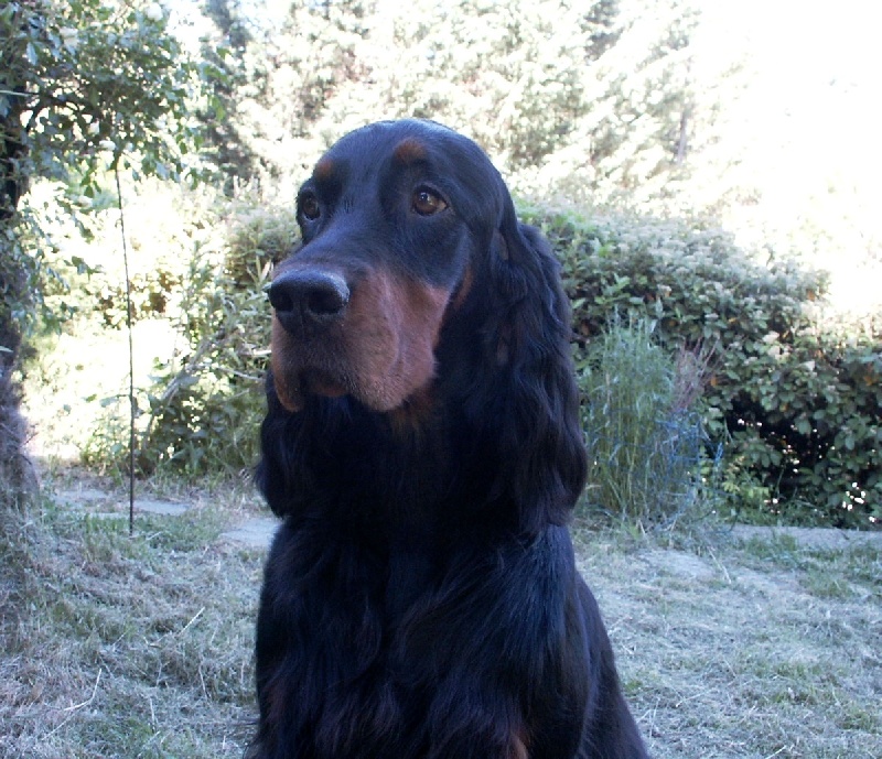 Castille dys. b Des Pralines D'Aubejoux