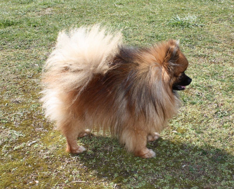 Publication : Du Paradis Des Icones 