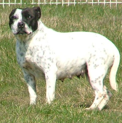 Publication : Des quatre jeudis Auteur : Brigitte AVIOT