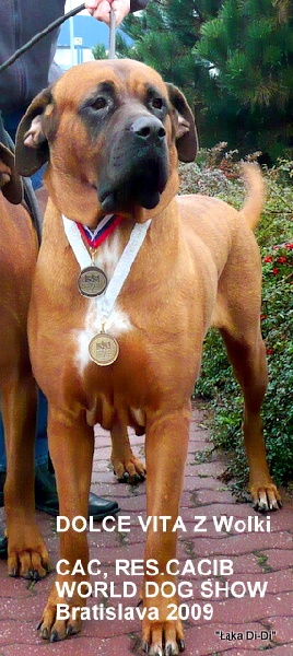 CH. Dolce vita z wolki