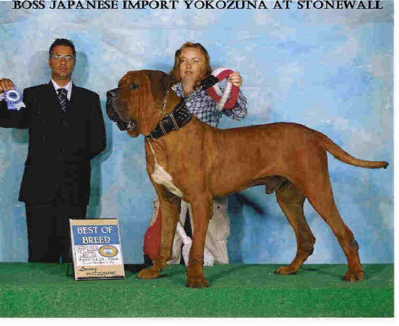 2nd tenboshi yume sw yokozuna (Sans Affixe)