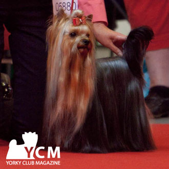 Publication : pearlstring Auteur : 24 Carats