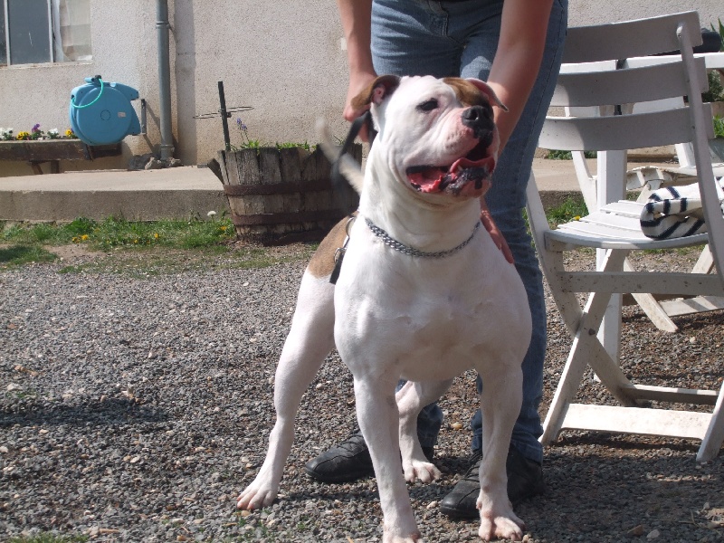 Vodka ice (Sans Affixe)