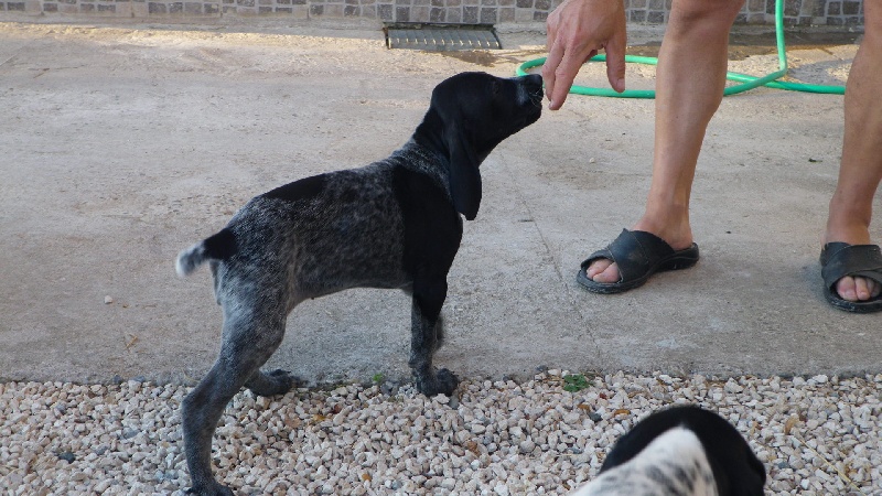 Publication : Des étangs De La Ravanne Auteur : Eve FRETEAUD