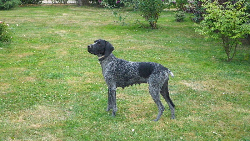 Publication : Des étangs De La Ravanne Auteur : Eve FRETEAUD