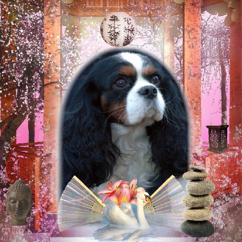 About reference girl De vaudival