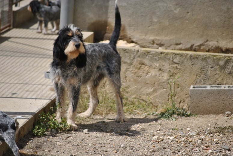 Publication : des étoiles de l'Armagnac 