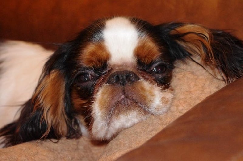 Publication : de cartledge 