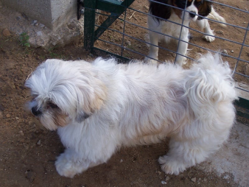 Publication : Du Chalet De La Nuit étoilée 