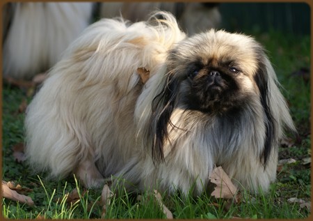 Publication : de l'empire des trois lacs Auteur : PAILLET Régis