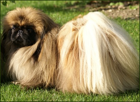 Publication : de l'empire des trois lacs Auteur : PAILLET Régis