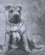 Publication : des Ming Way 