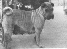 down-homes Anne Revival