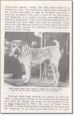 down-homes Sweet Pea