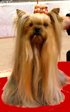 Publication : Veestory's