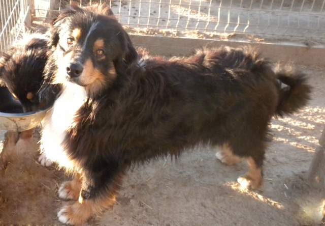 Publication : des Cavaliers des Garrigues