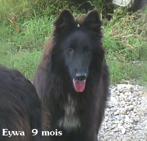 Eywa du Clan de Samara