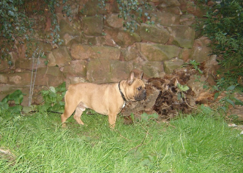 Oushen of`lav iż svetlaninych grioz