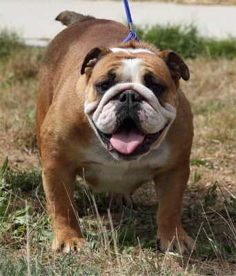 Publication : (Sans Affixe) Auteur : www.maraprod.com