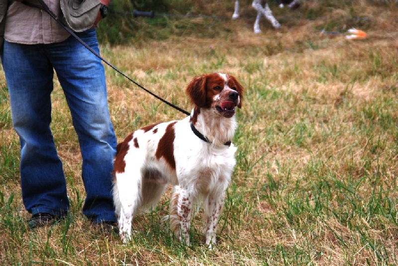 Publication : du Tucoulet