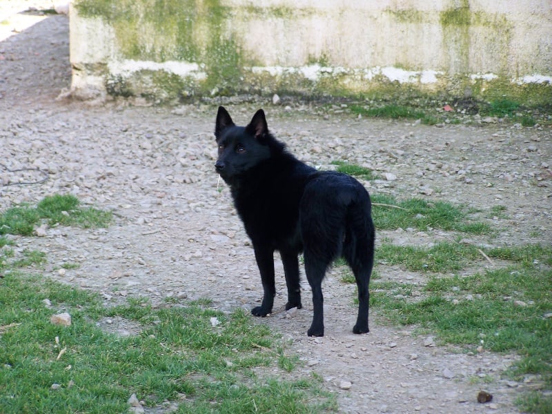 Belle ile de la Tangi Morgane