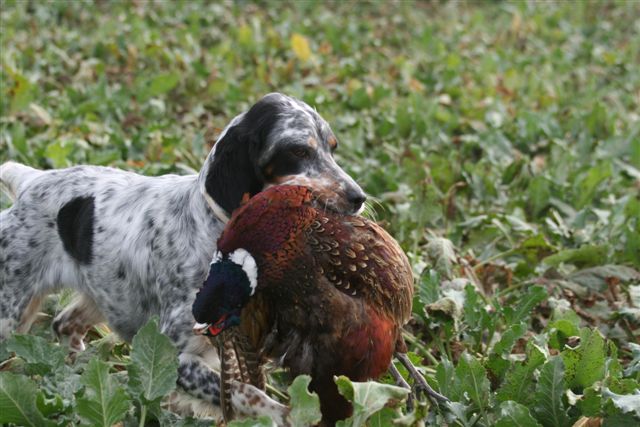 Publication : du Tourbillon Blanc