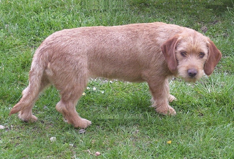 Publication : du Rallye Terre Courage