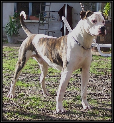 underground's B'durden