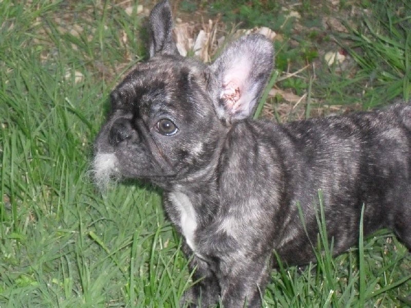 Publication : de la rosée d'autan